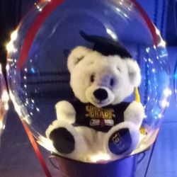 $40  Congrats .Graduations Class.  Light Up Teddy Bear Balloon Led Light Up..  Congrats 