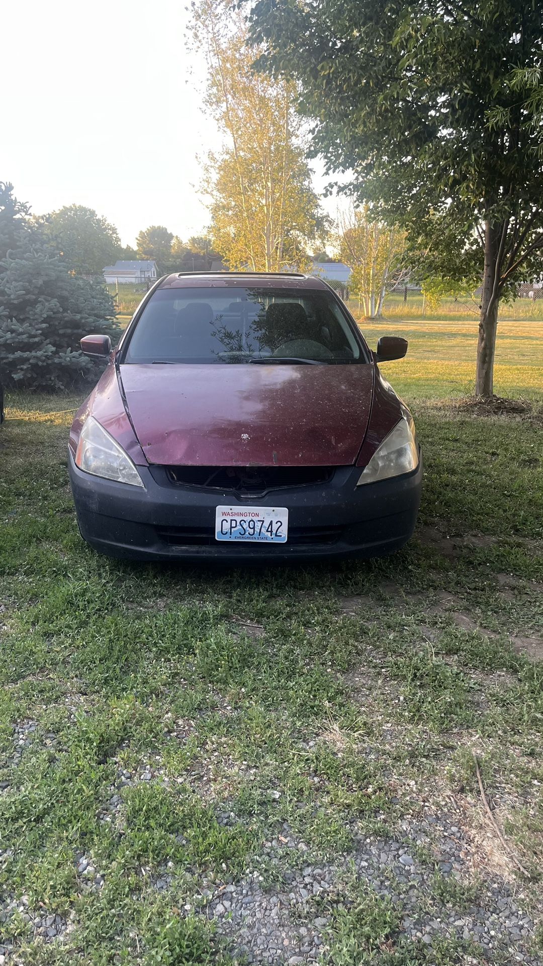 2003 Honda Accord