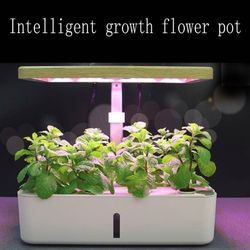 Intelligent Planter. New