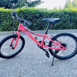 Girls 20 Inch Mountain Bike
