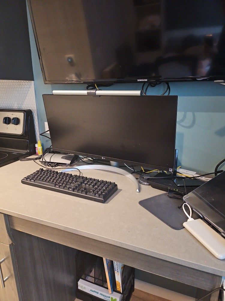 LG Monitor 29in