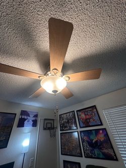 Free  42 inch Ceiling fan