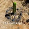 K&K Exchange
