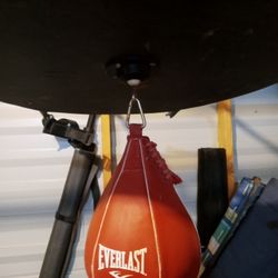 Everlast Wall Mounted Speed Bag