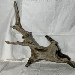Organic driftwood