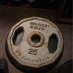25 Lb plate 