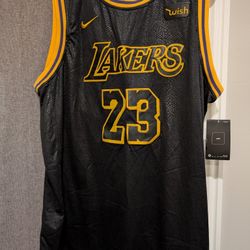 LEBRON JERSEY