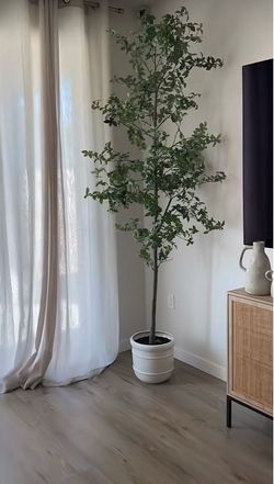 8' Faux Gypsophila Leaf Potted Tree - Hearth & Hand™ with Magnolia