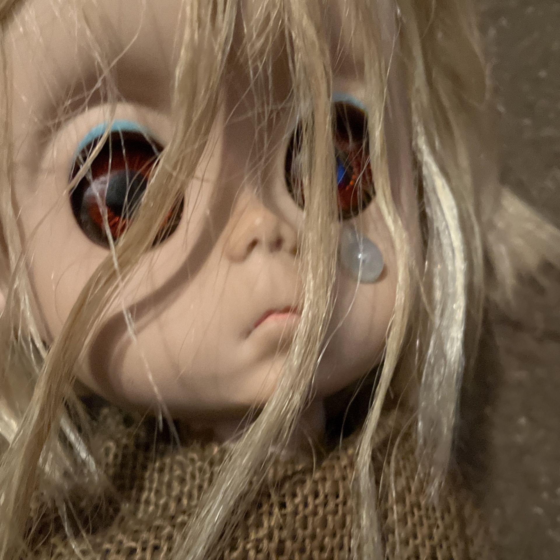 Little miss no name リトルミスノーネーム ジャンク m87438722679_1.jpg?1742397067