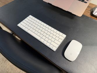 Apple Magic Mouse and Magic Keyboard combo