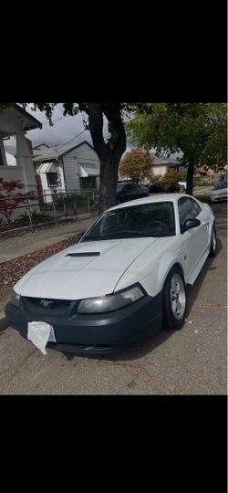 2001 Ford Mustang