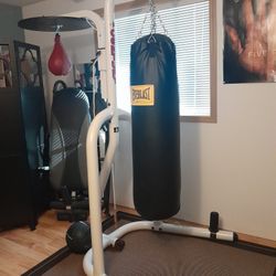 Heavy Duty Everlast Punching Bags With Stand and 12 ounces New Everlast Gloves EXCELLENT CONDITION 