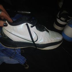 Size 11  LeBron 21 "Conchiolin" basketball shoes.