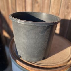 Nursery 5 Gallon Pots