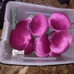 Plushies