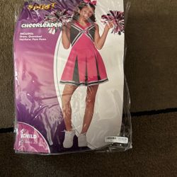 Cheerleader Costume With Pom Poms
