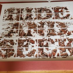 Bev Doolittle's Hide and Seek-entire set