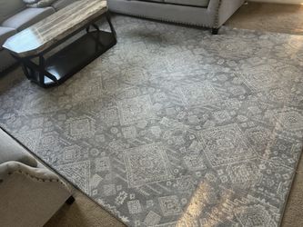Gray Large area rugs