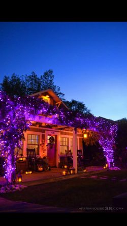 Halloween purple 100led lights 32ft long connectable