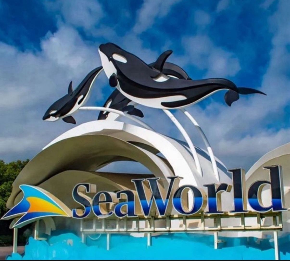 4 SeaWorld Tickets Adult/children
