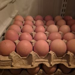 Fresh  Eggs  En Perris
