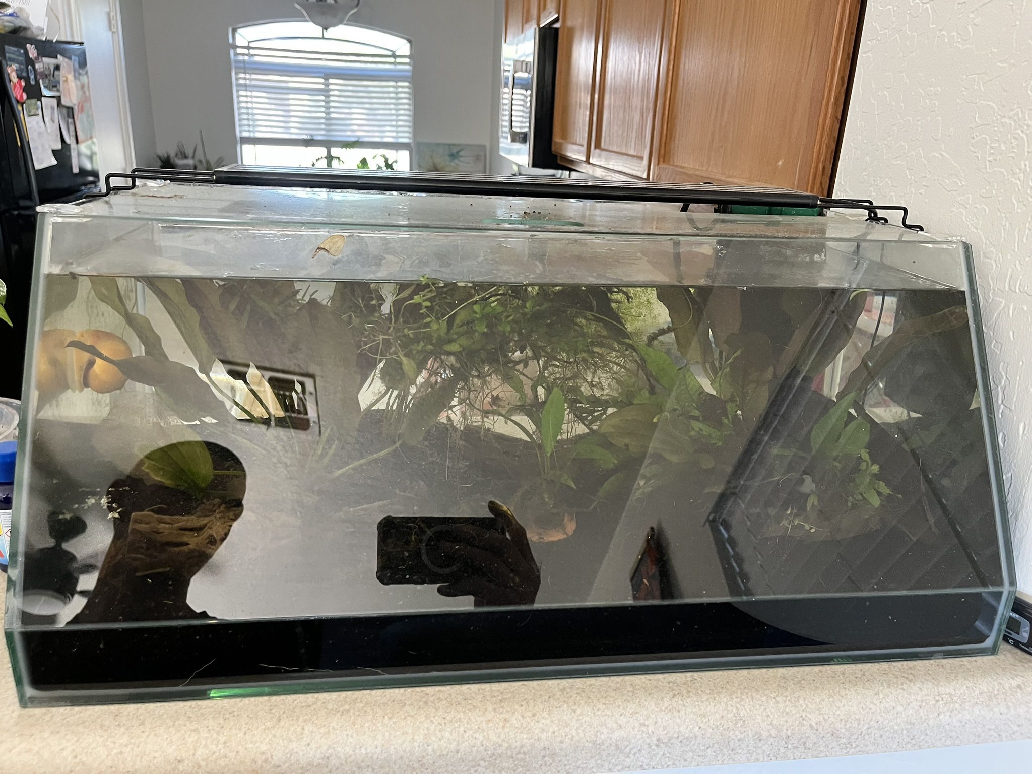 10 Gallon Angled Topfin Aquarium