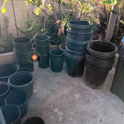 15 gallon & 5 gallon pots