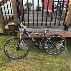 Bike- Giant Iguana 