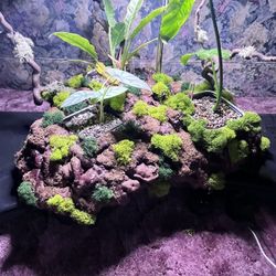 Custom Made Plant Displays 