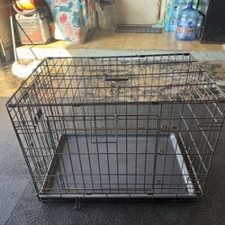 Dog Cage