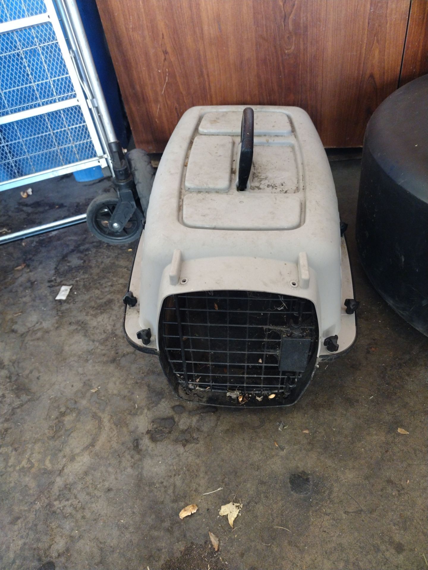Kennel dogs