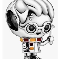 Harry Porter Charm 