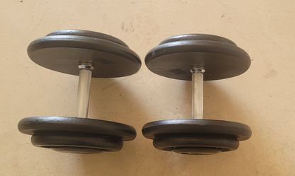 60 LBS Dumbbells