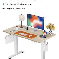 Unused Standing Desk 