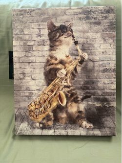 Canvas kitty Picture