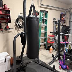 Punching bag and stand