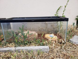 Reptile Tanks With water bowls & tree logs