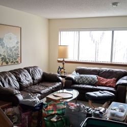 Leather Couch And Loveseat