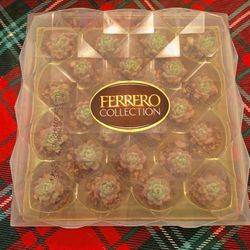 Echeveria Prolifica a (Ferrero Collection) Live Succulent Planter. 