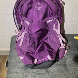 Osprey Purple Backpack