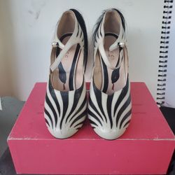 Gucci Zebra Shoes