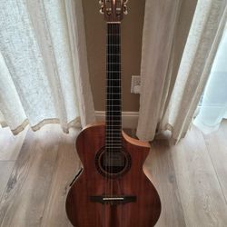 Ibanez exotic wood nylon string acoustic electric guitar with Hard Case