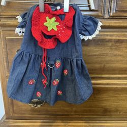 Pet dresss