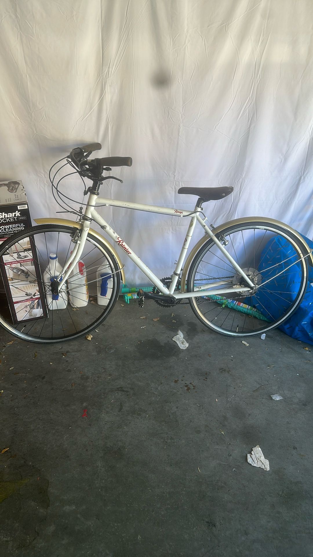 Raleigh Rainer Bike