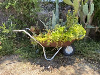 Rustic Wheel Barrel With Plants