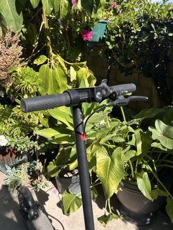 Electric scooter