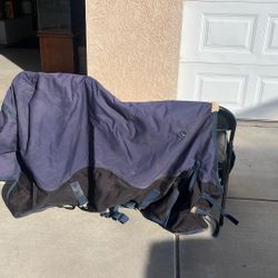 Horse Blanket 