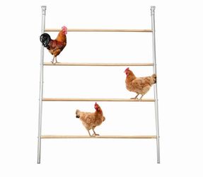 Chicken Roosting Bar