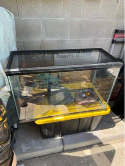 Reptile Tank with extras