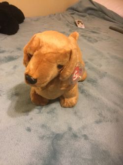 TY beanie buddy Weenie